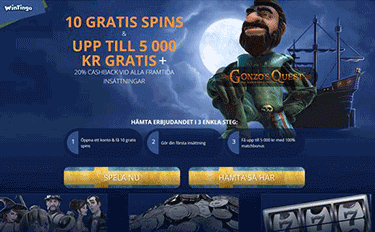 WinTingo 10 free spins