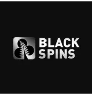 Black Spins Image Logo image for Black Spins