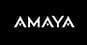 Amaya review