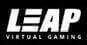 Leap Virtual Gaming review