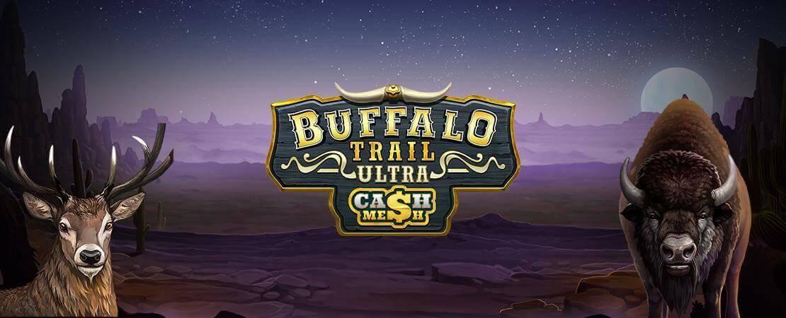 BuffaloTrail Ultra Banner
