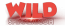 Wild Spinner logo
