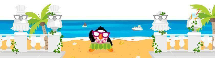 Boaboa Penguin-banner