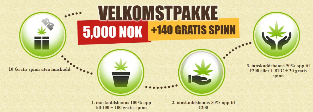 Velkomstbonusdetaljer Bob Casino