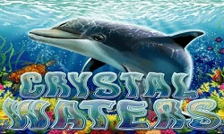 Crystal Waters logo og delfin