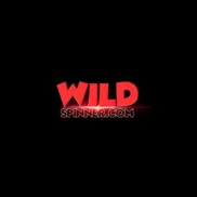 Wild Spinner Image Logo image for Wild Spinner wild spinner logo logo
