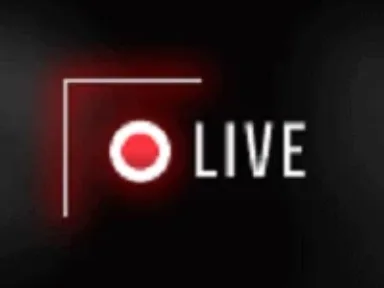 Lets Bet Live Casino logo