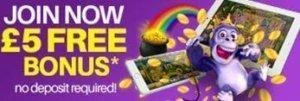 no deposit bonus cloud casino 1