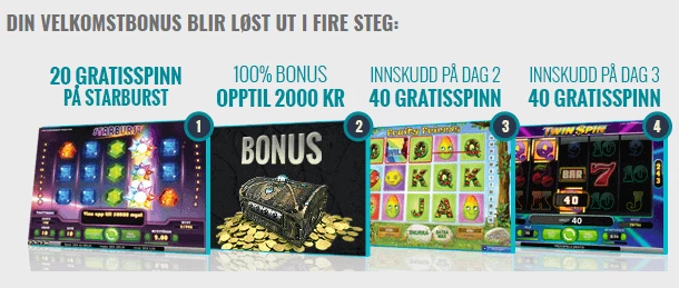 Bonusdetaljer Viking Slots