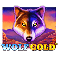 Få 30 gratisspinn på Wolf Gold i dag hos Fruity Wins